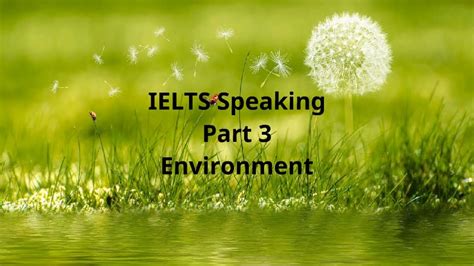 ielts speaking part 3 environment